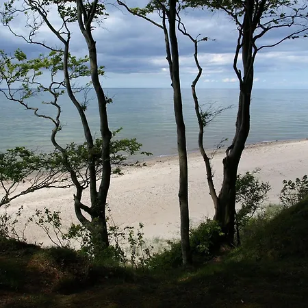 Am Felde Groß Schwansee